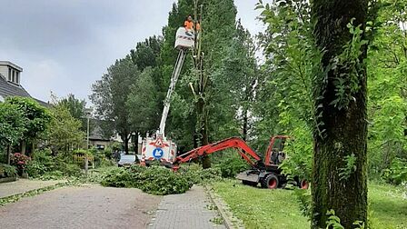 Veel bomen in Heemskerk zijn beschadigd na storm Poly